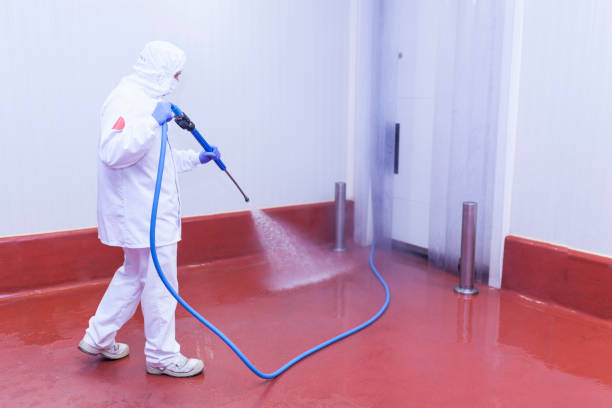 Professional Pressure Washing Services in Westerville, OH
